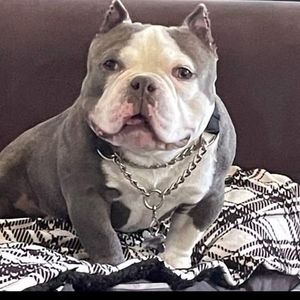 Meet your Posher, Norma